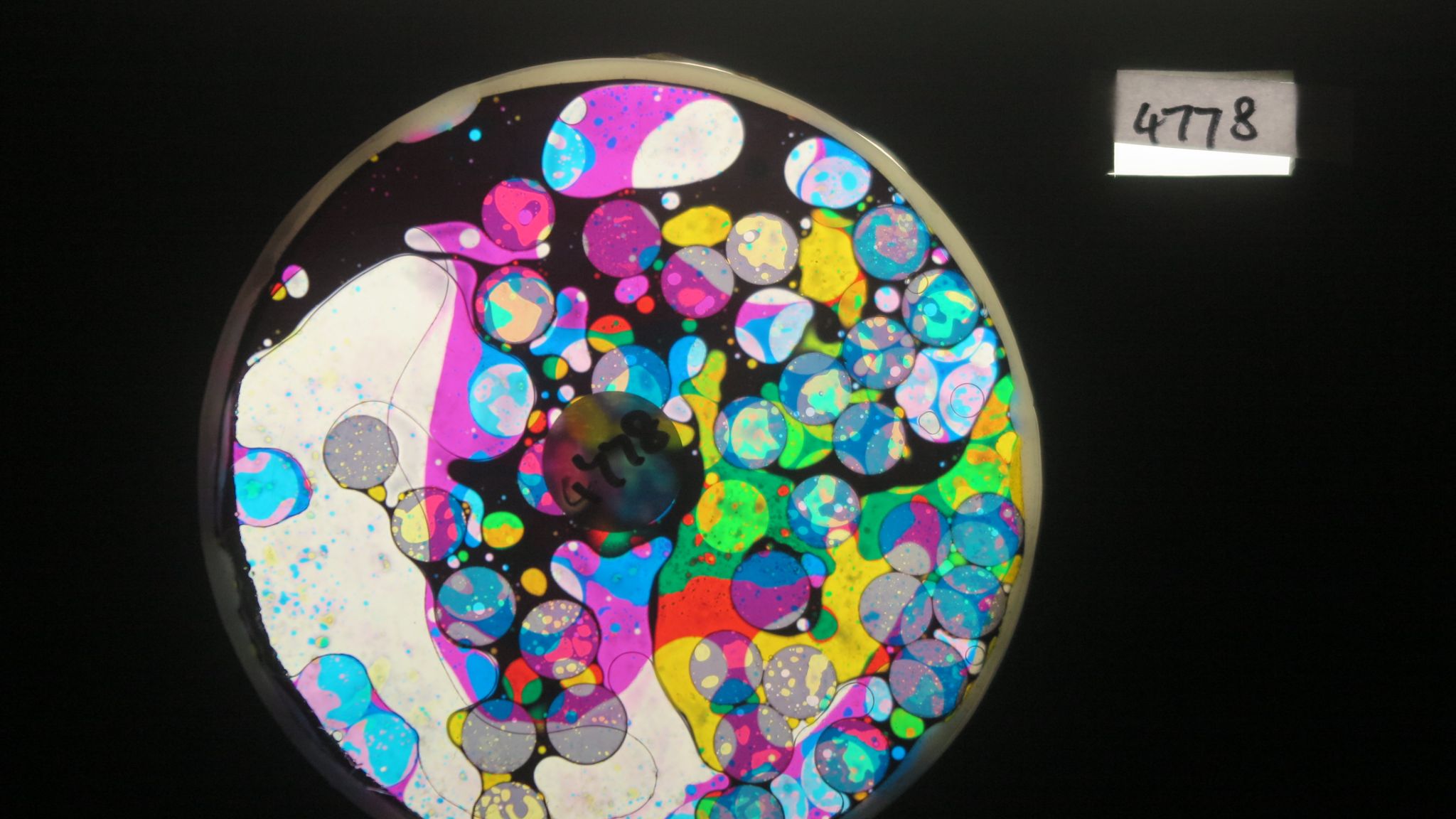 BV4778 bubble vision oil wheel